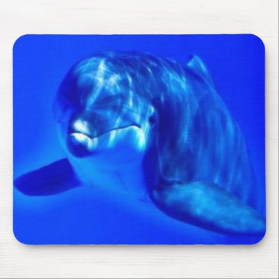 Dolphin mousepads