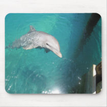 Dolphin Mousepad