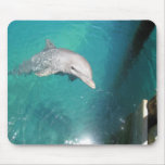 Dolphin Mousepad