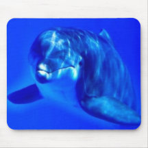 Dolphin Mousepad