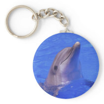 Dolphin Nose Keychains