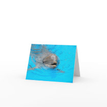 Dolphin Note Card