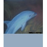 Dolphin Out of Water shirt