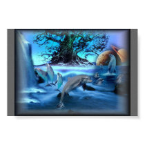 dolphin paradise