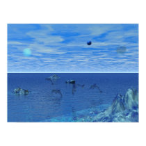 Dolphin Paradise posters
