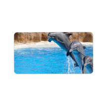 DOLPHIN PERSONALIZED ADDRESS LABEL
