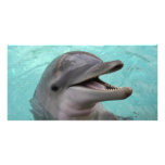 Dolphin Photo Card