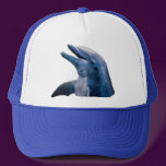 Dolphin Picture
