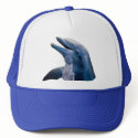 Dolphin Picture hats by kphotos Dolphin Picture hats