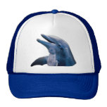 Dolphin Picture Hat