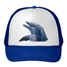 Dolphin Picture Hat