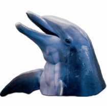 Dolphin Picture Photo Sculpture photo sculptures