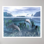 Dolphin Play Print