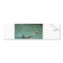 Dolphin playing ball bumper sticker