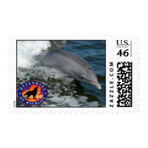 Dolphin postage