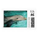 Dolphin postage