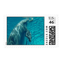 Dolphin postage by snoopyginger Dolphin postage