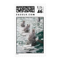 Dolphin Postage postage