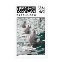 Dolphin Postage postage