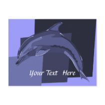 Dolphin Postcard