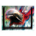 dolphin posters