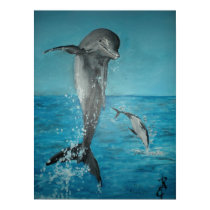 Dolphin posters