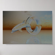 Dolphin Poster