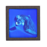 Dolphin Premium Gift Box