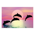 Dolphin Silhouette posters