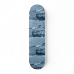 Dolphin Skateboard