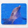 Dolphin Smiles Mousepad
