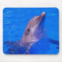 Dolphin Smiles Mousepad by lapatrick1161 Dolphin Smiles Mousepad