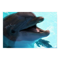 Dolphin Smiles Poster posters by lapatrick1161 Dolphin Smiles Poster posters