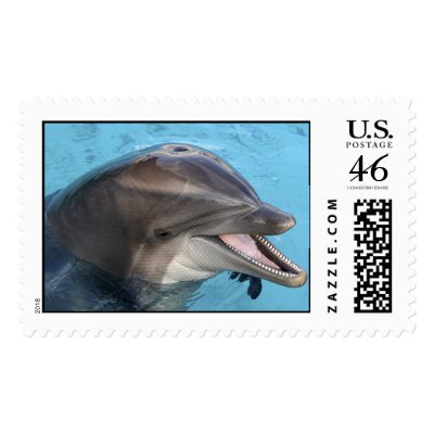 dolphin stamp