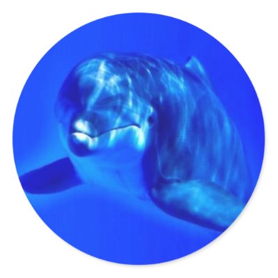 Dolphin Round Sticker