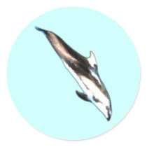 Dolphin Stickers