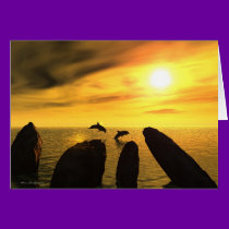Dolphin Stones cards
