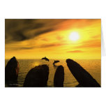 Dolphin Stones Greeting Card