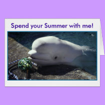 Dolphin Summer Card - Blank