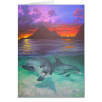 dolphin sunset cards