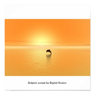 Dolphin sunset print