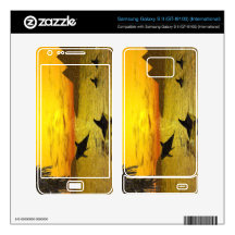 Dolphin Sunset Samsung Galaxy S II GT-I9100 Skin Samsung Galaxy S II Decal