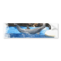 Dolphin Tricks Bumper Sticker