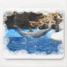 Dolphin Tricks Mouse Pad
