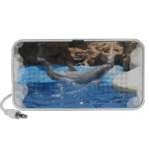 Dolphin Tricks Speakers