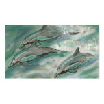 dolphin trio business cards
