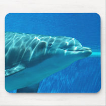 Dolphin underwater mousepad by dduhaime55 Dolphin underwater mousepad