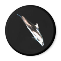 Dolphin Watercolor Magnet