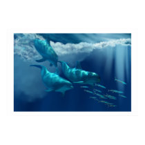 DOLPHIN WORLD  PRINT