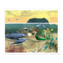 Dolphin World: The Gift posters by New_World_Creations Dolphin World: The Gift posters